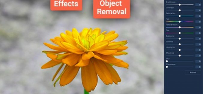 How to Get Rid of Unwanted Objects in a Photo with Movavi Photo Editor