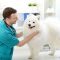 All You Need To Know About Pet Insurance